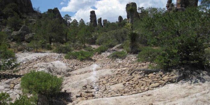 Parque Nacional Sierra de Órganos en Sombrerete Parque Nacional Sierra de Órganos en Sombrerete