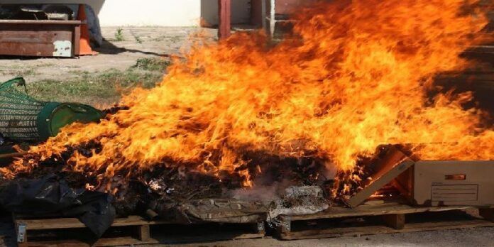 Fueron incinerados los enervantes Fueron incinerados los enervantes