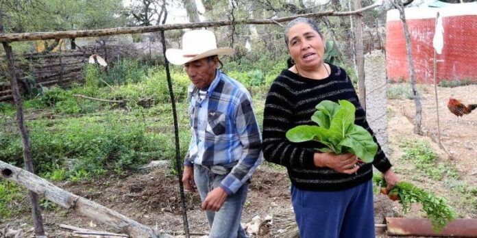 Beneficiarios en El Salvador Beneficiarios en El Salvador