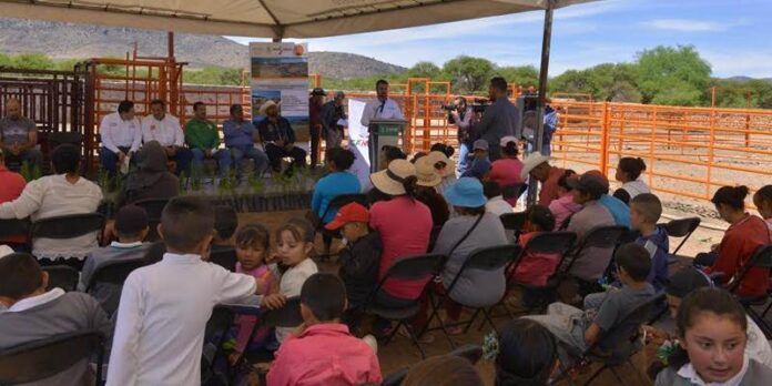 Alcalde inaugura corral y bordo Alcalde inaugura corral y bordo