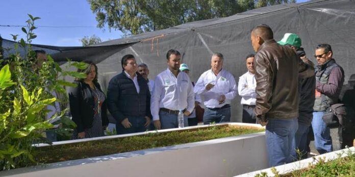Rehabilitarán áreas verdes del municipio Rehabilitarán áreas verdes del municipio