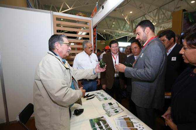 expo-chile-1.jpg