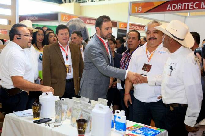 expo-chile-3.jpg