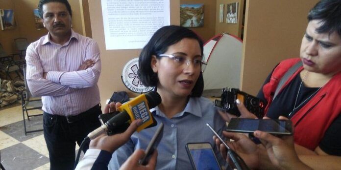 luz-dominguez-campos-d02