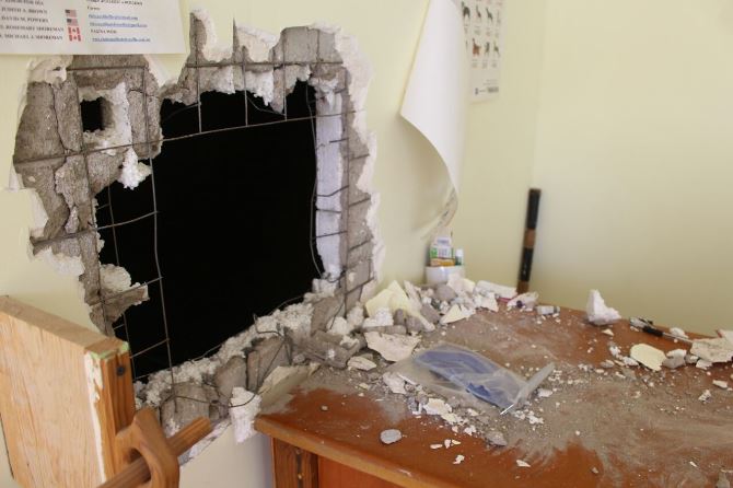 robo estetica canina 2