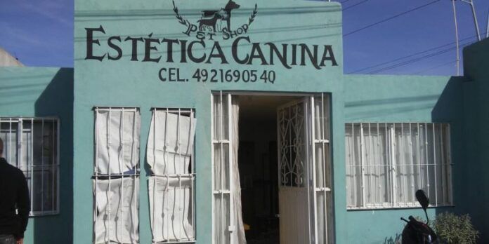 robo-estetica-canina-90d