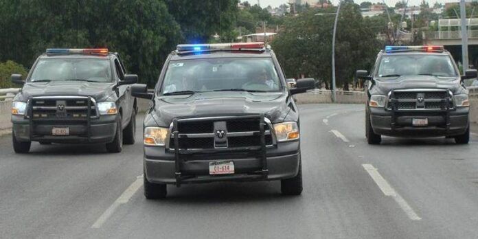 transito-bf8