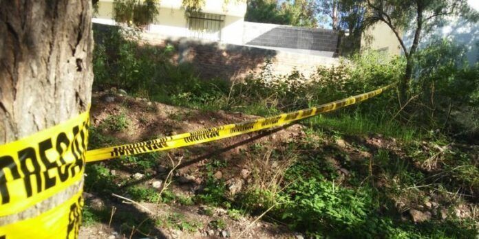 asesinato-campo-bravo-af1