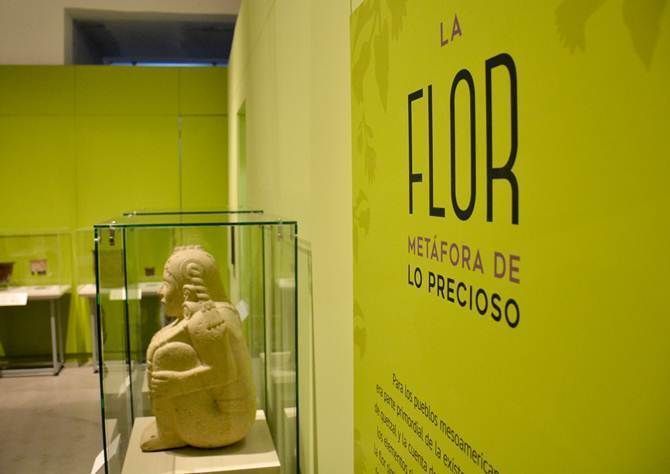 exposicion