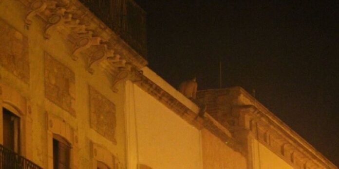 Un joven trataba de aventarse de una azotea