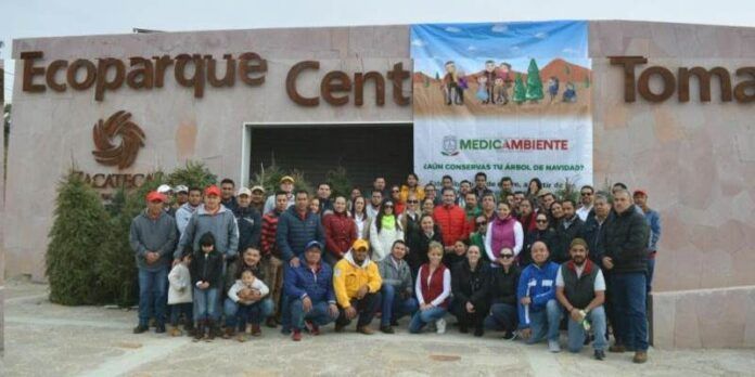 Ecoparque Centenario y Conafor recibiran pinos Ecoparque Centenario y Conafor recibiran pinos