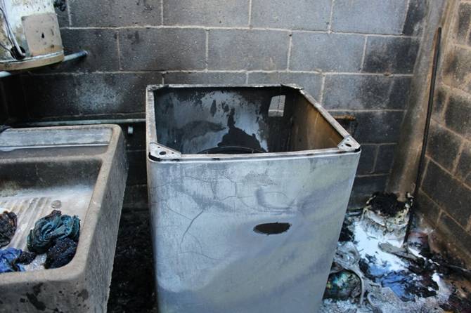incendio-perrita-4.JPG