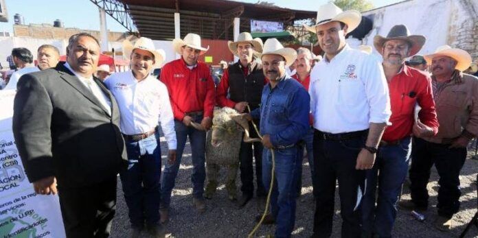 Entrega sementales