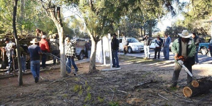 parques-jerez-31f