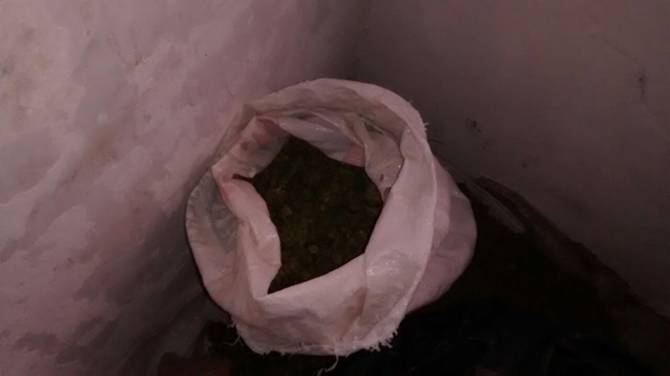 marihuana.JPG