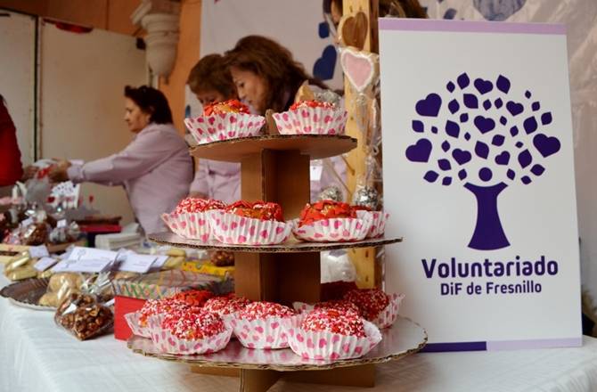 voluntariado-fresnillo.JPG