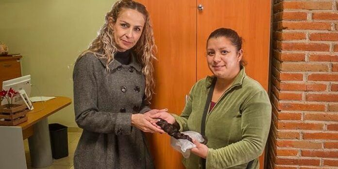 Llaman a mujeres a donar trenzas Llaman a mujeres a donar trenzas