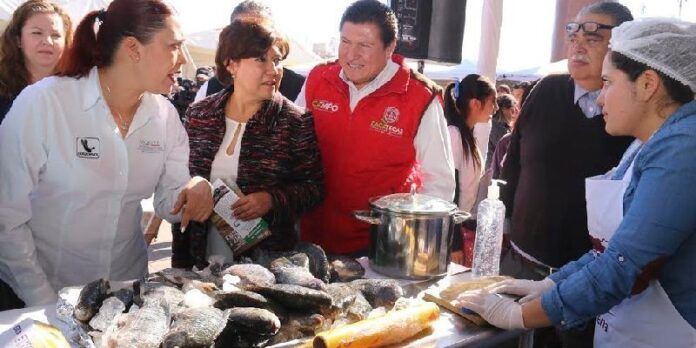 feria-tilapia-210