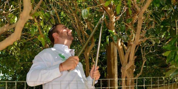 Dan mantenimiento a parque y alumbrado