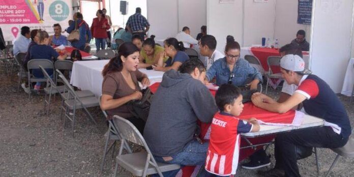 Ofertan vacantes 8 empresas Ofertan vacantes 8 empresas