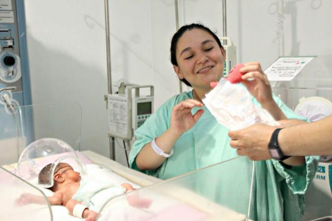 pulpos-causa-1.jpg