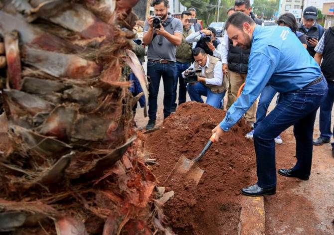 reforestacion-urbana-2.jpg