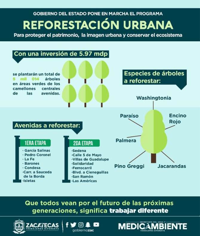 reforestacion-urbana.jpg