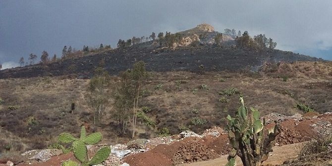 incendio-cerro-colinas-padre-1.jpg