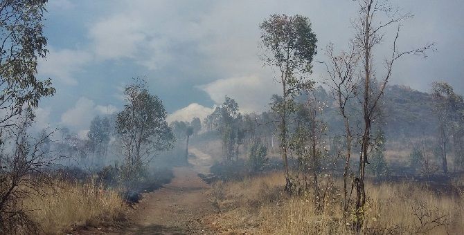 incendio-cerro-colinas-padre-2.jpg