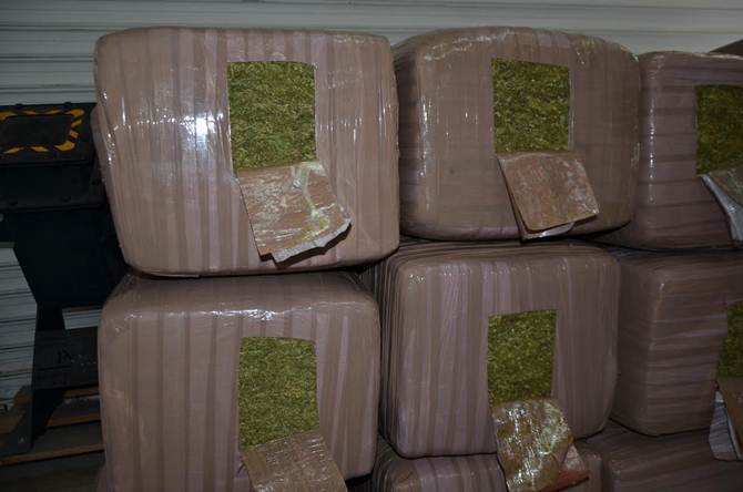 marihuana-1.jpg