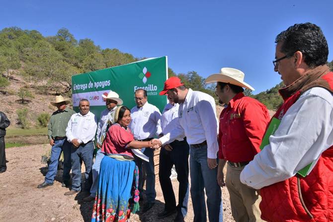 campo-fresnillo-1.jpg