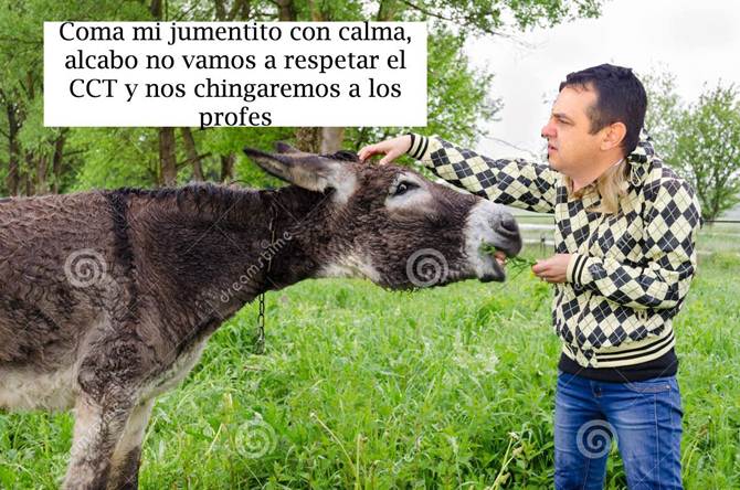memes-rector-3.jpg