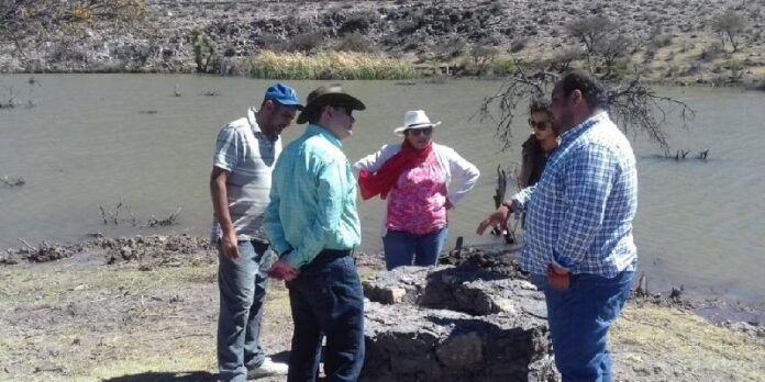 Promoverán la pesca en presas de la región Promoverán la pesca en presas de la región