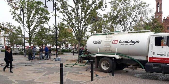 Dan mantenimiento a jardines Dan mantenimiento a jardines