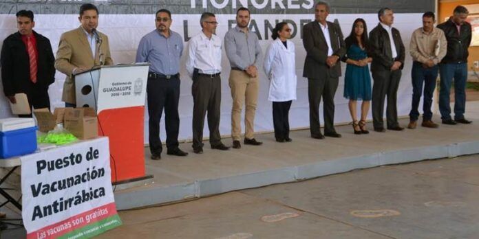 Alcalde invita a llevar a perros y gatos Alcalde invita a llevar a perros y gatos