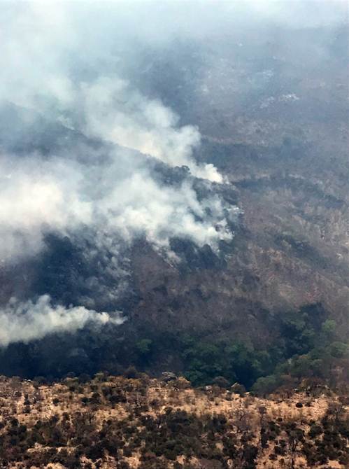 incendio-juchipila.jpg
