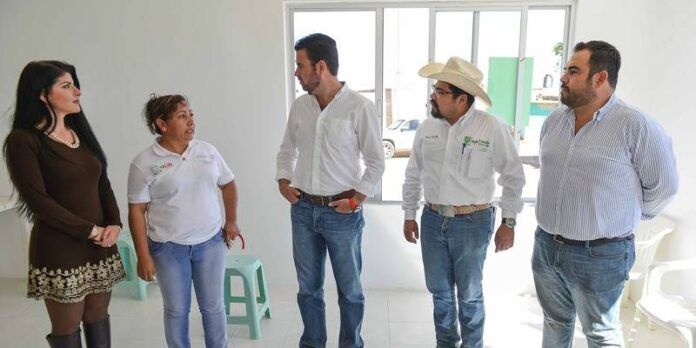 casa-salud-d80