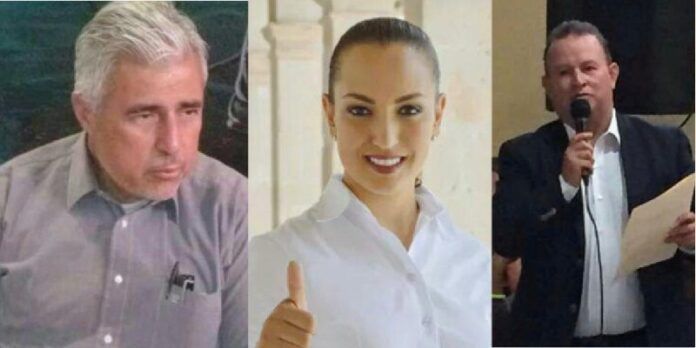 narro-diputada-lozano-2e4