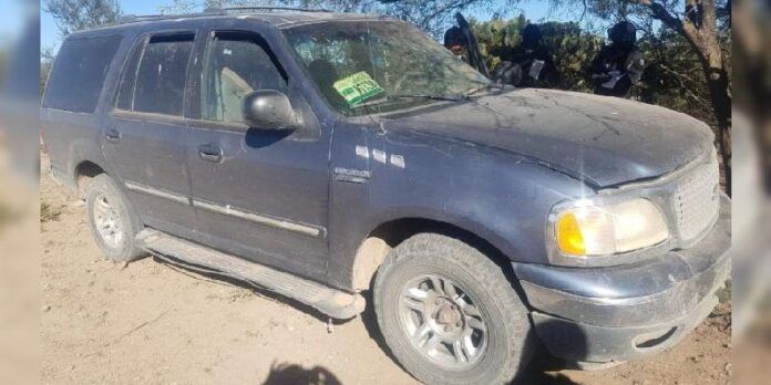 ford-asegurada-pinos-7c4