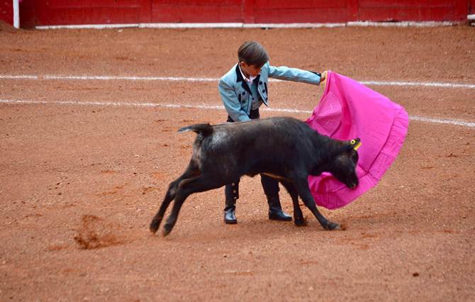 festival taurino