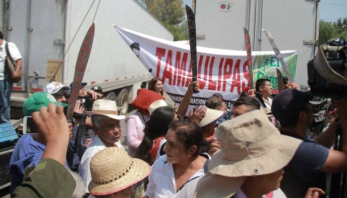 amlo jerez 3