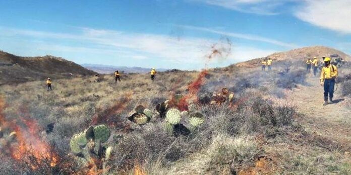 prevencion-incendios-8bd