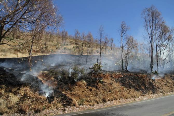 incendio 1