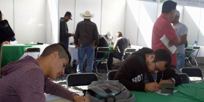 feria-empleo-7e2