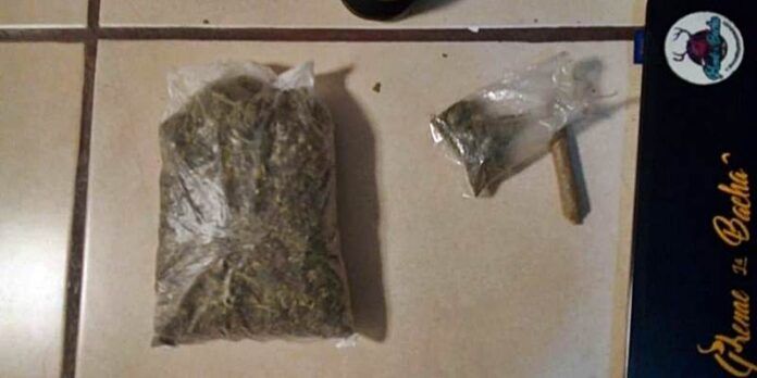 marihuana-parque-26f