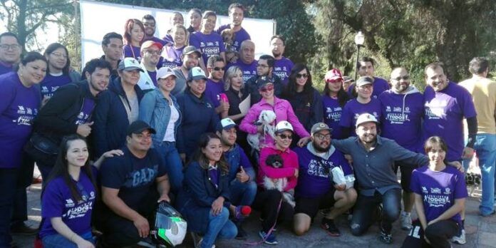 carrera-perros-1-069