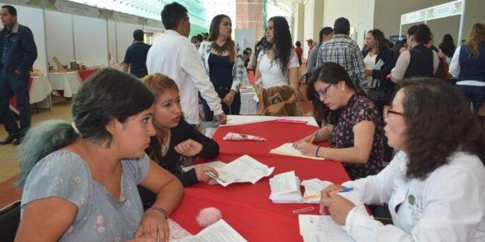 feria-empleo-fresnillo-99a