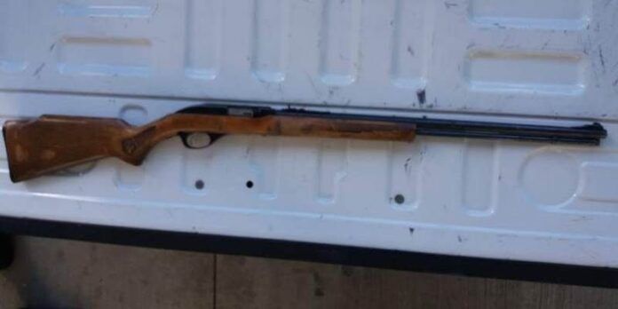 rifle-eb2