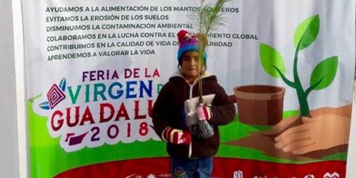 adopta-arbol-cdf