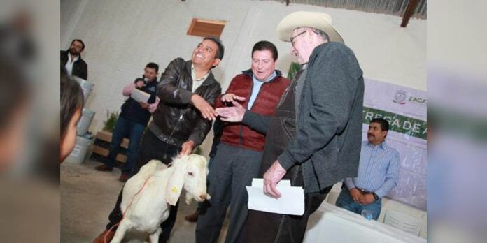 entrega-ganado-51b